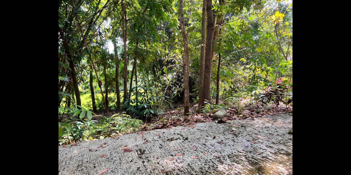 Tanah Seluas ini Hanya 150 Juta Karanganyar Tanah Seluas ini Hanya 150 Juta Karanganyar