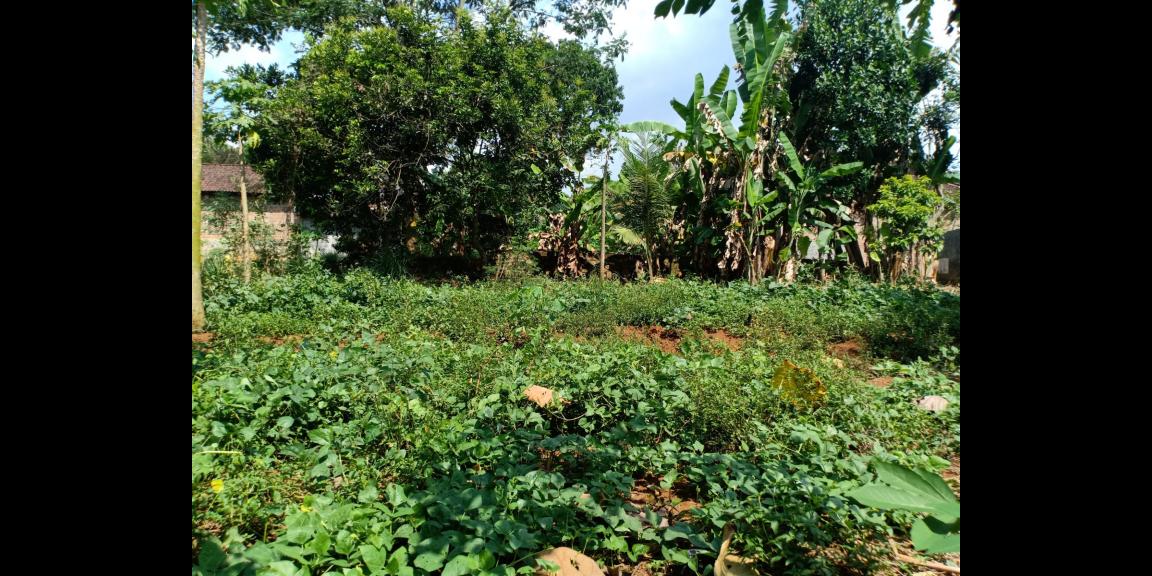 Tanah Strategis Buka Usaha Mojogedang Karanganyar Tanah Strategis Buka Usaha Mojogedang Karanganyar