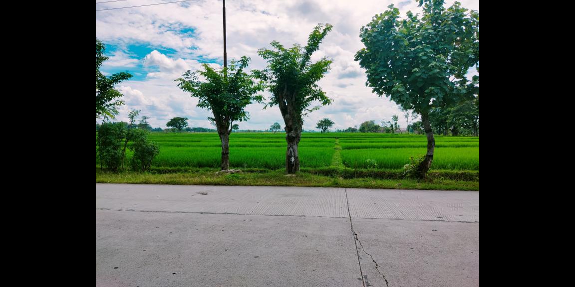 Tanah Strategis Buka Usaha Kedawung Sragen Tanah Strategis Buka Usaha Kedawung Sragen