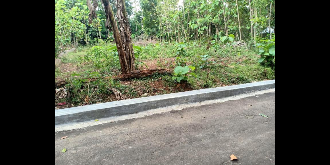 Tanah Datar Cocok Dibangun Rumah Tinggal Sragen Tanah Datar Cocok Dibangun Rumah Tinggal Sragen