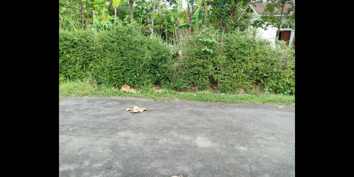 Tanah Cocok dibangun Villa Karanganyar Tanah Cocok dibangun Villa Karanganyar