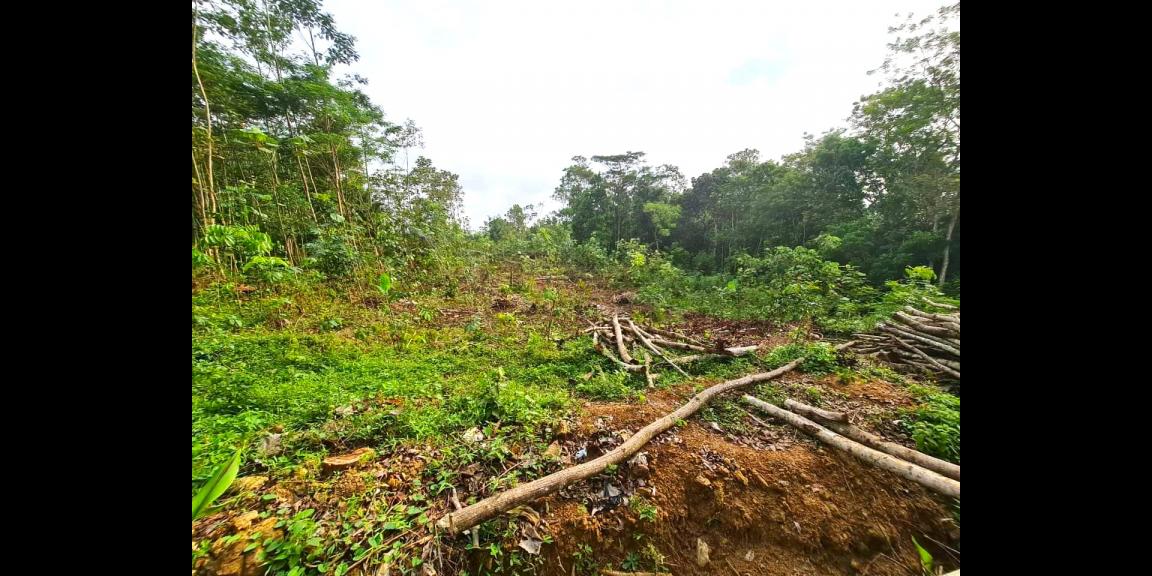 Tanah Cocok untuk Gudang Matesih Karanganyar Tanah Cocok untuk Gudang Matesih Karanganyar