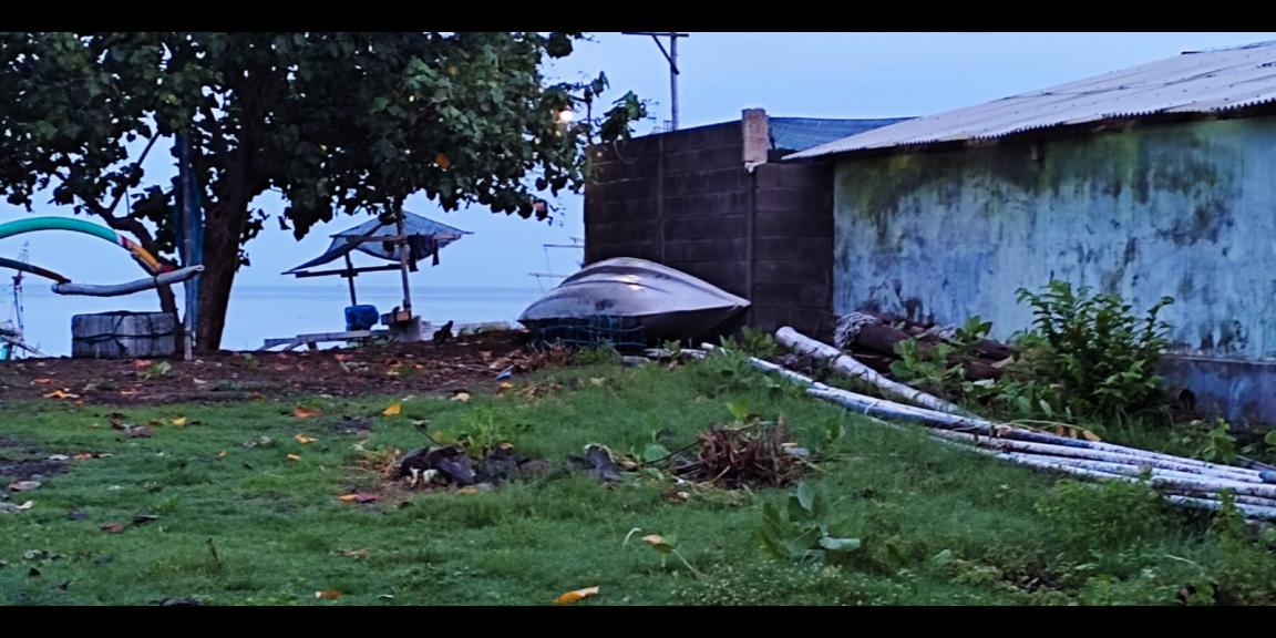 Dijual Tanah Pinggir Laut Pasir Putih Situbondo Dijual Tanah Pinggir Laut Pasir Putih Situbondo