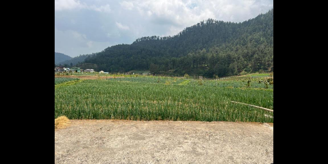 Tanah 400m2 Dekat Wisata Balekambang Tawangmangu Tanah 400m2 Dekat Wisata Balekambang Tawangmangu