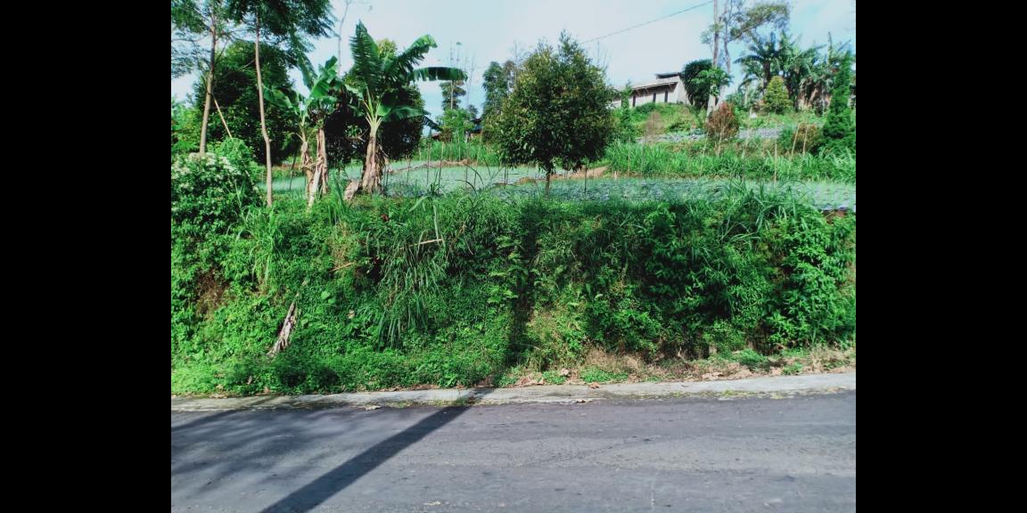 Dijual Tanah Strategis di Kemuning Ngargoyoso Karanganyar Dijual Tanah Strategis di Kemuning Ngargoyoso Karanganyar