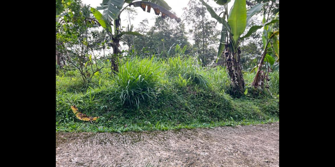 Dijual Tanah Datar Dekat Candi Sukuh Kemuning Karanganyar Dijual Tanah Datar Dekat Candi Sukuh Kemuning Karanganyar