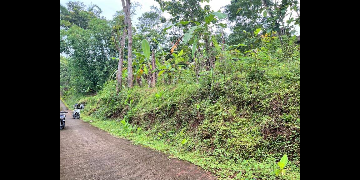 Tanah Dekat Fasilitas Umum Kerjo Karanganyar Tanah Dekat Fasilitas Umum Kerjo Karanganyar