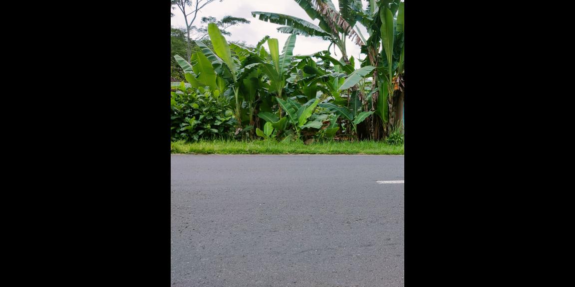 Dijual Tanah Tepi Jl Raya Karangpandan Karanganyar Dijual Tanah Tepi Jl Raya Karangpandan Karanganyar