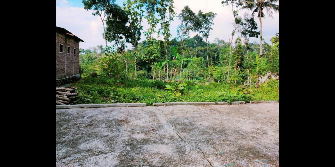 Tanah Dekat Ponpes Isy Karima & Al Azhar Karangpandan Karanganyar Tanah Dekat Ponpes Isy Karima & Al Azhar Karangpandan Karanganyar