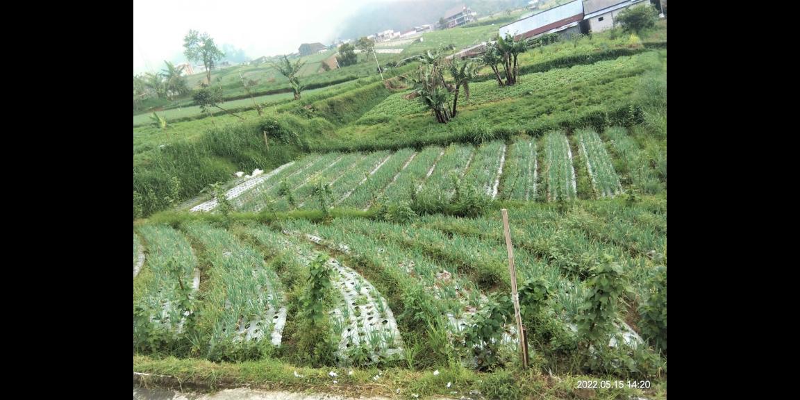Tanah Istimewa Tawangmangu Karanganyar Tanah Istimewa Tawangmangu Karanganyar