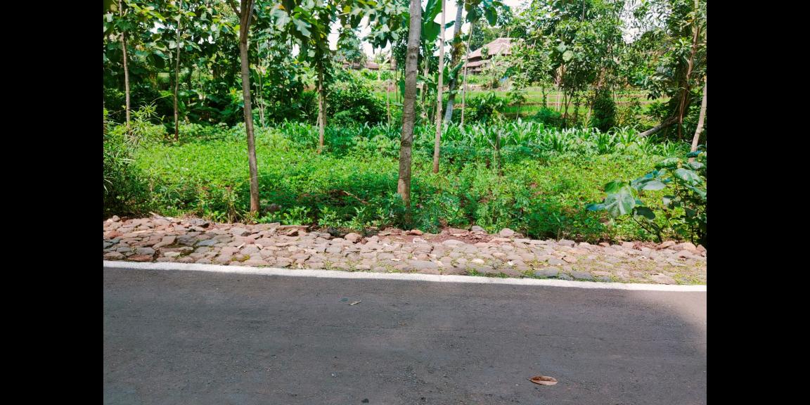 Dijual Cocok dibangun Homestay / Investasi Kerjo Karanganyar Dijual Cocok dibangun Homestay / Investasi Kerjo Karanganyar