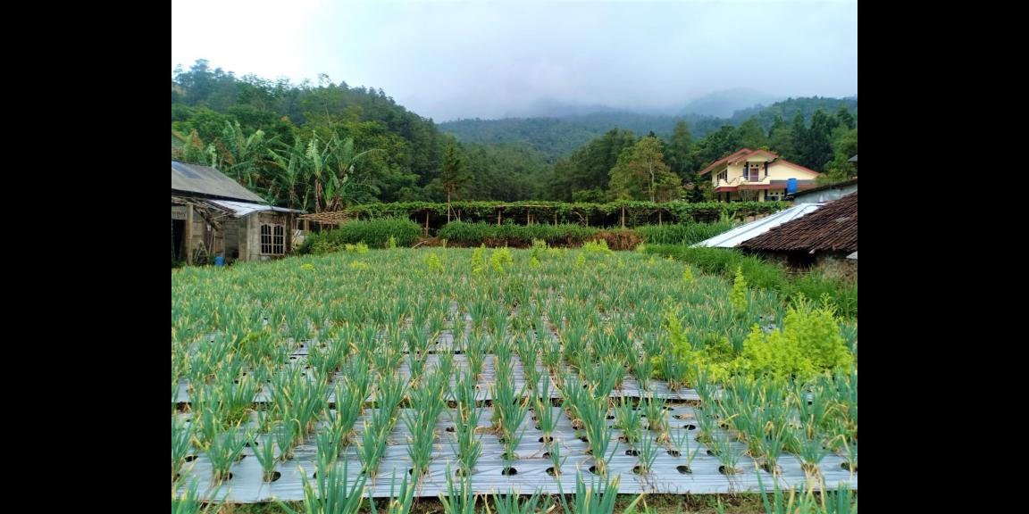 Tanah Kawasan Wisata Paralayang Kemuning Karanganyar Tanah Kawasan Wisata Paralayang Kemuning Karanganyar