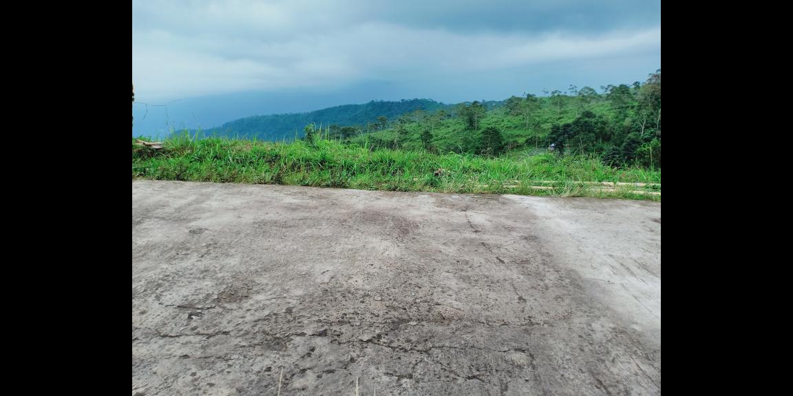 Tanah Cocok dibangun Villa Jl Raya Kemuning Ngargoyoso Karanganyar Tanah Cocok dibangun Villa Jl Raya Kemuning Ngargoyoso Karanganyar