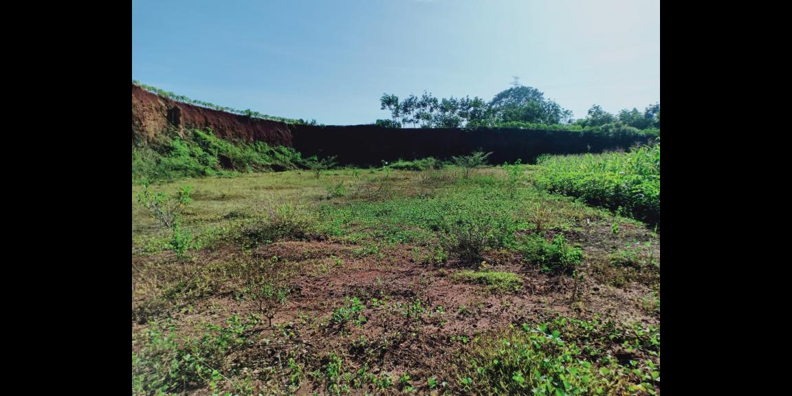 Tanah Sawah 60 Juta Kedawung Sragen Tanah Sawah 60 Juta Kedawung Sragen
