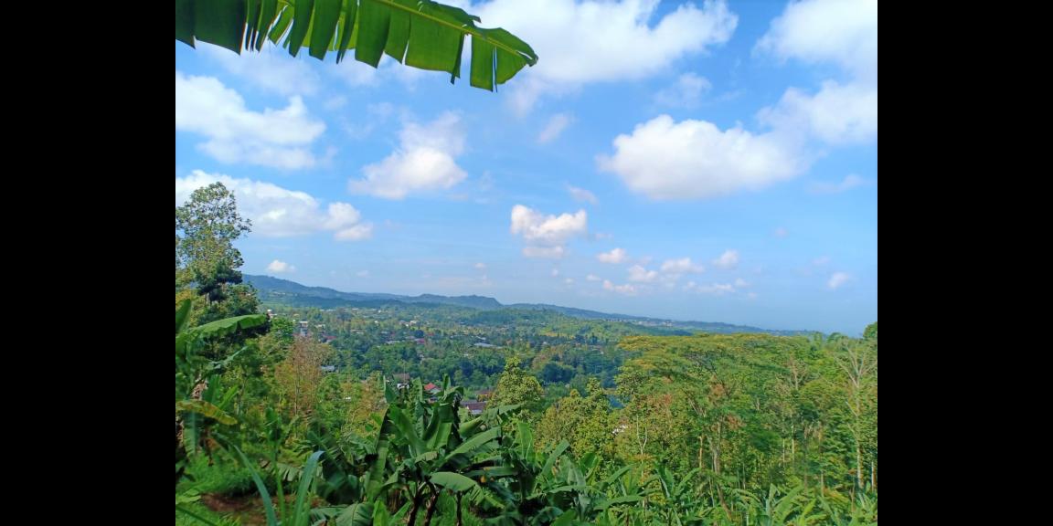 Dijual Tanah Cocok untuk Villa, Hotel, Resort Kemuning Karanganyar Dijual Tanah Cocok untuk Villa, Hotel, Resort Kemuning Karanganyar