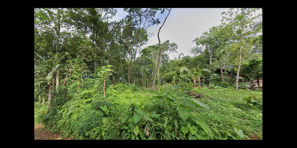 Tanah Datar 1471m² Barat Pasar Karangpandan  Tanah Datar 1471m² Barat Pasar Karangpandan