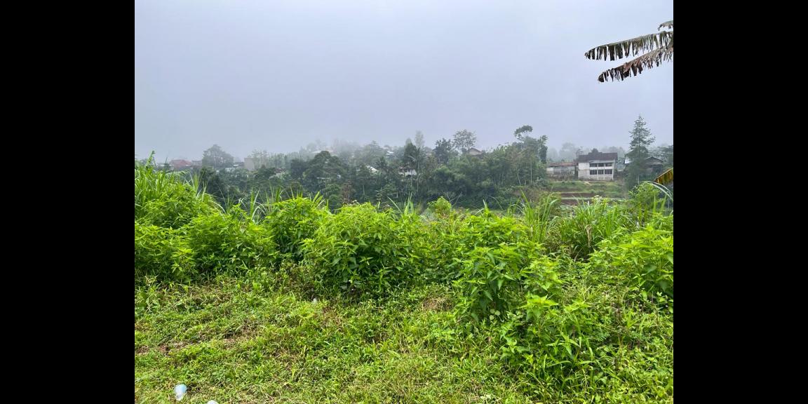 Dijual Tanah Ada Air Terjunnya Ngargoyoso Karanganyar Dijual Tanah Ada Air Terjunnya Ngargoyoso Karanganyar