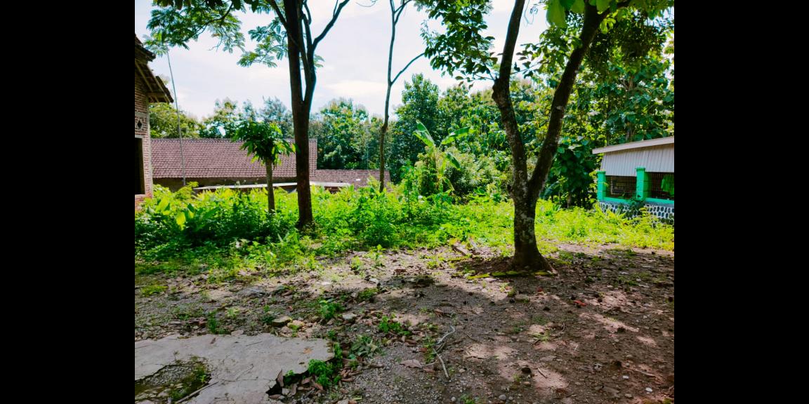 Dijual Tanah Datar Kedawung Sragen Dijual Tanah Datar Kedawung Sragen