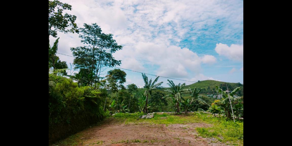 Tanah Datar Strategis Dibangun Villa Ngargoyoso Karanganyar Tanah Datar Strategis Dibangun Villa Ngargoyoso Karanganyar