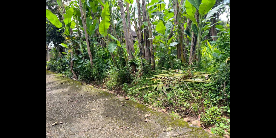 Jual Tanah Barat Pasar Mojogedang Karanganyar Jual Tanah Barat Pasar Mojogedang Karanganyar