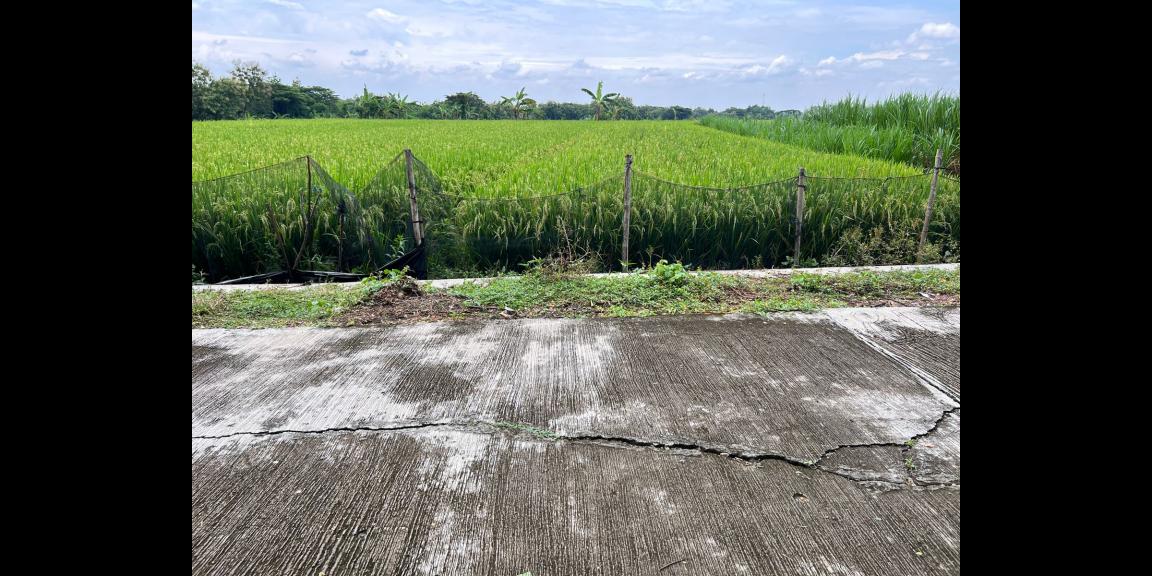 Dijual Tanah 1320m² Karangmalang Sragen Dijual Tanah 1320m² Karangmalang Sragen