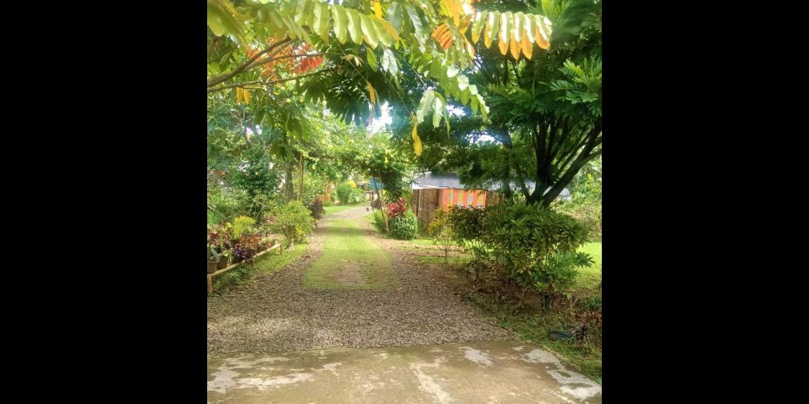 Rumah Siap Huni Jl Raya Solo Tawangmangu Karanganyar Rumah Siap Huni Jl Raya Solo Tawangmangu Karanganyar