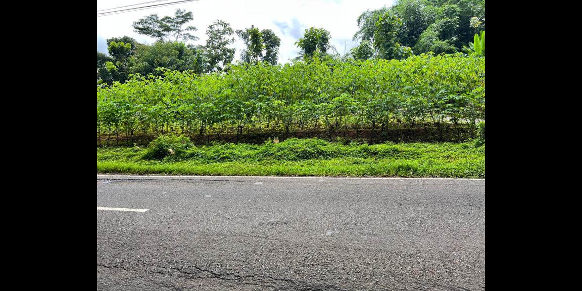 Jual Tanah Strategis Buka Usaha Mojogedang Karanganyar Jual Tanah Strategis Buka Usaha Mojogedang Karanganyar