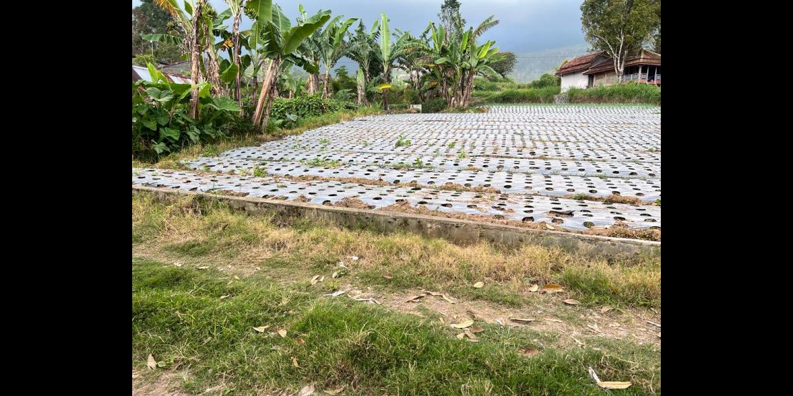 Tanah 253m² Cocok Dibangun Villa Kemuning Ngargoyoso Tanah 253m² Cocok Dibangun Villa Kemuning Ngargoyoso