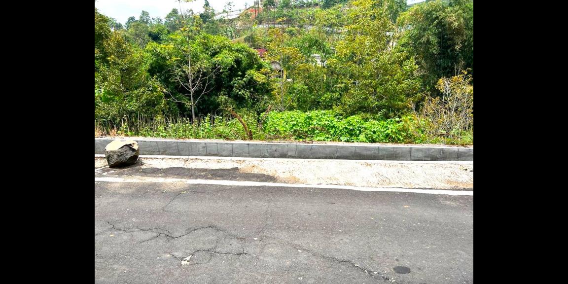 Tanah Area Kebun Teh & Jembatan Kaca Kemuning Karanganyar Tanah Area Kebun Teh & Jembatan Kaca Kemuning Karanganyar