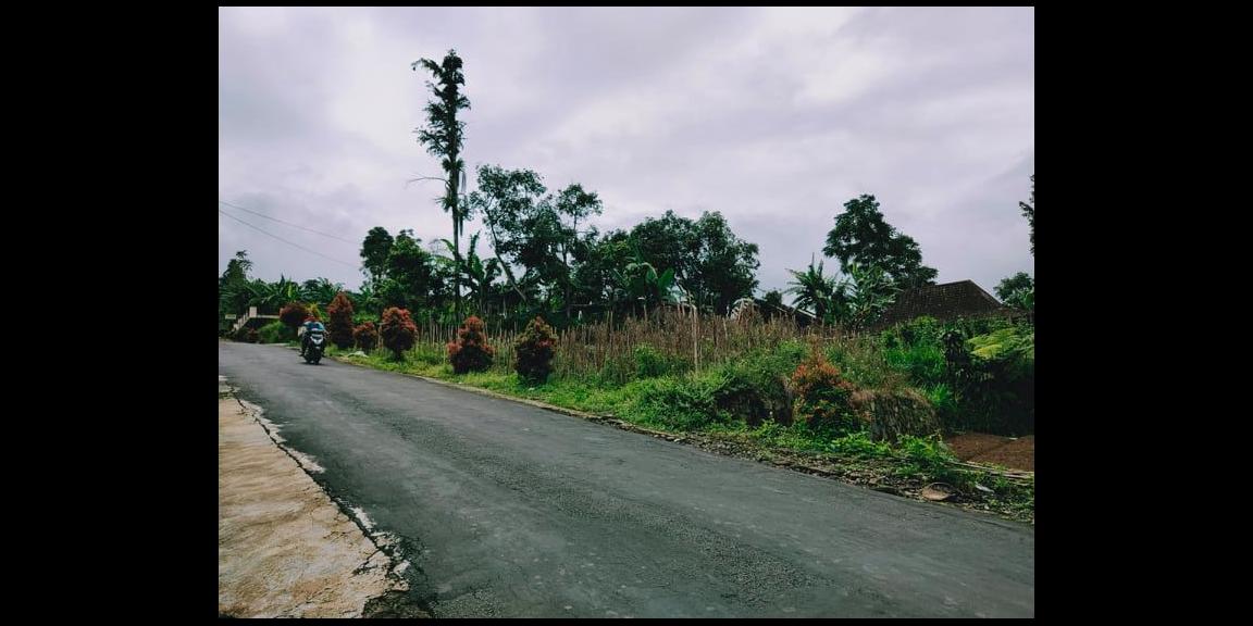 Tanah Idaman Kawasan Wisata Kebun Teh Kemuning Ngargoyoso Karanganyar Tanah Idaman Kawasan Wisata Kebun Teh Kemuning Ngargoyoso Karanganyar