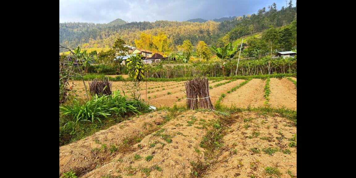 Tanah 175 Juta Utara Telaga Madirda Kemuning Tanah 175 Juta Utara Telaga Madirda Kemuning