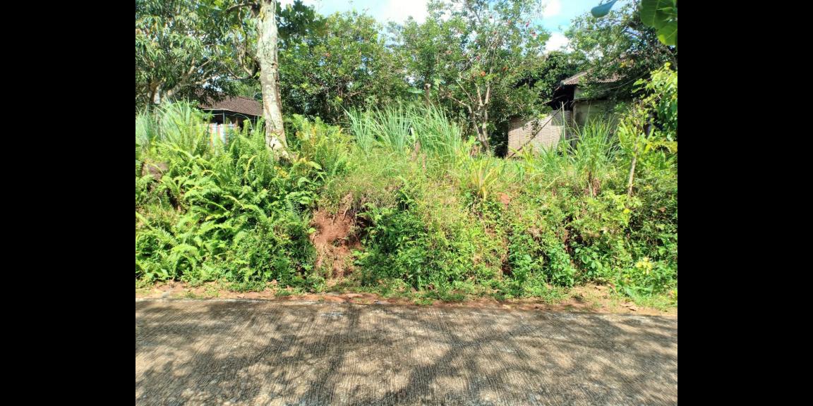 Tanah 600m2 hanya 200 juta Mojogedang Karanganyar Tanah 600m2 hanya 200 juta Mojogedang Karanganyar