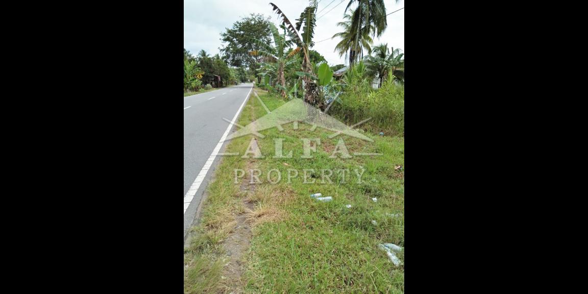 Tanah Jalan Mempawah Hilir Kalimantan Barat Dijual Tanah Jalan Mempawah Hilir Kalimantan Barat Dijual