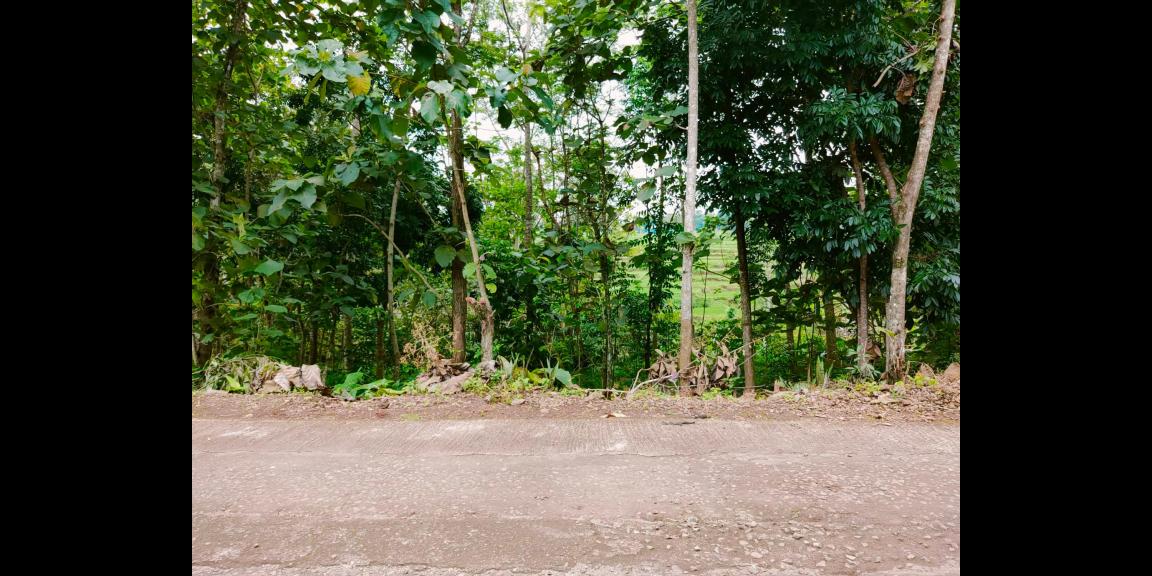 Tanah Strategis dibangun Villa Karangpandan Karanganyar Tanah Strategis dibangun Villa Karangpandan Karanganyar