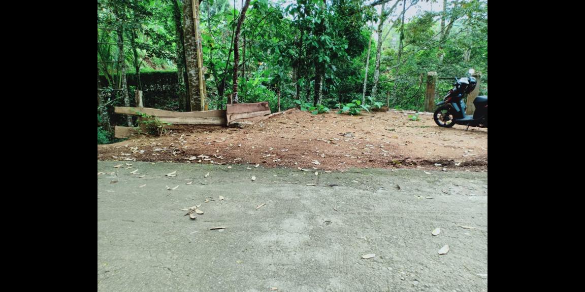 Kebun Durian Siap Panen Kerjo Karanganyar Kebun Durian Siap Panen Kerjo Karanganyar