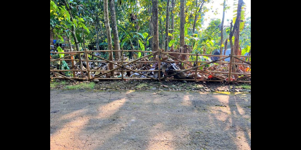 Dijual Tanah Asri 135 Juta Kedawung Sragen Dijual Tanah Asri 135 Juta Kedawung Sragen