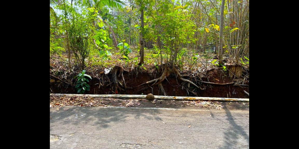 Tanah 1000m Dekat Pasar Batujamus Kerjo Karanganyar Tanah 1000m Dekat Pasar Batujamus Kerjo Karanganyar