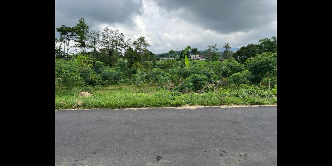 Tanah Strategis 2492m² Dibangun Villa Karangpandan Tanah Strategis 2492m² Dibangun Villa Karangpandan