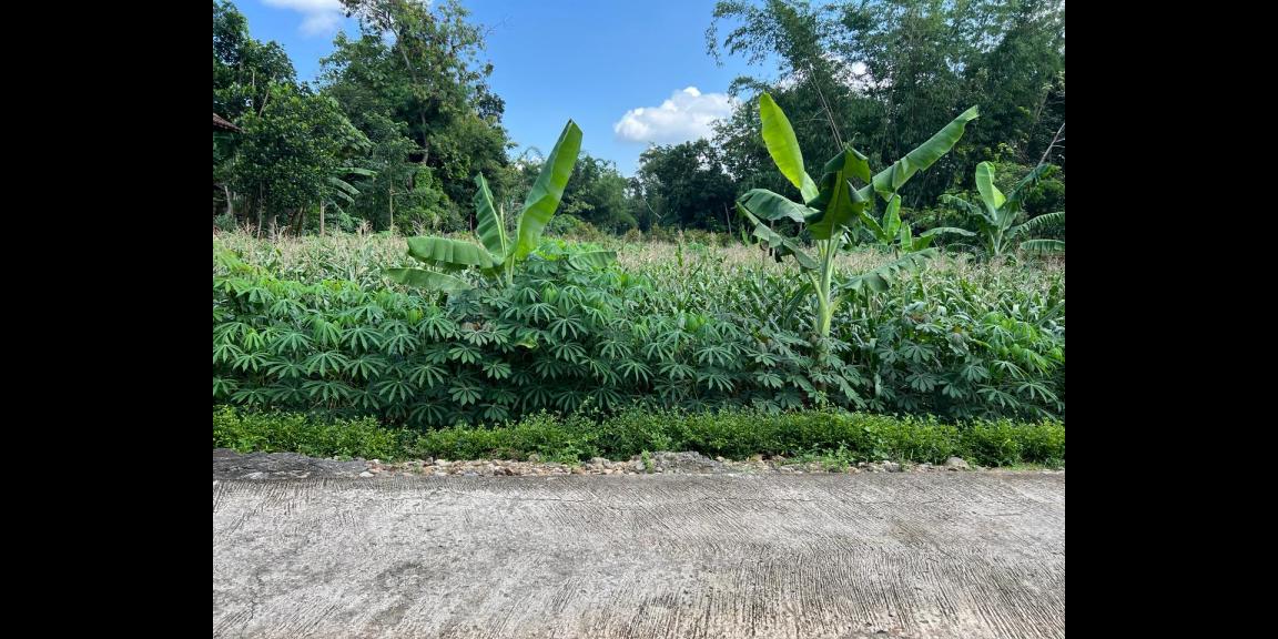 Tanah Siap Bangun Hanya 175 Juta Karanganyar Tanah Siap Bangun Hanya 175 Juta Karanganyar