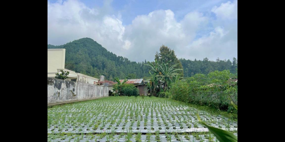 Tanah Strategis Udara Dingin Tawangmangu Karanganyar Tanah Strategis Udara Dingin Tawangmangu Karanganyar