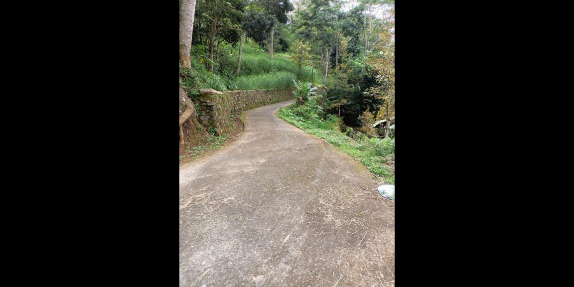Kebun Durian Siap Panen 3038m Karangpandan Kebun Durian Siap Panen 3038m Karangpandan