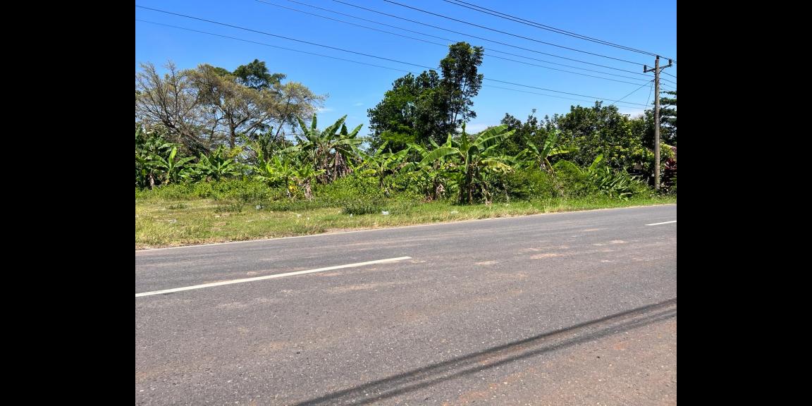 Tanah 2270m² Tepi Jalan Raya Batujamus - Sragen Tanah 2270m² Tepi Jalan Raya Batujamus - Sragen