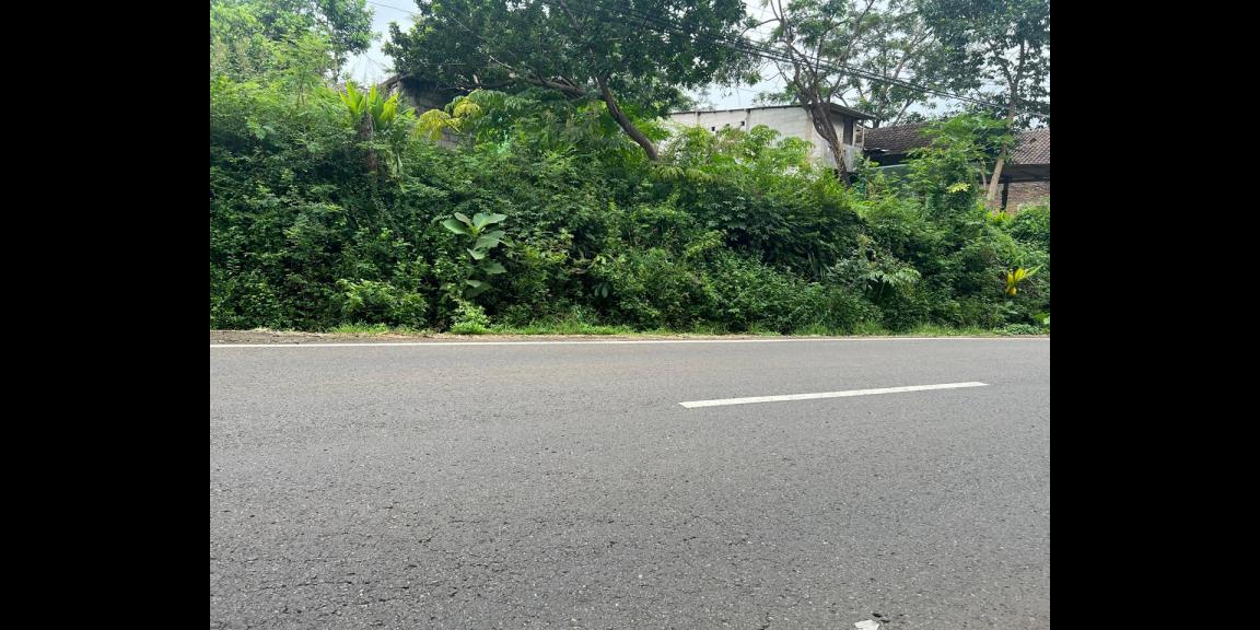 Tanah 260m² Tepi Jalan Raya Kerjo Karanganyar Tanah 260m² Tepi Jalan Raya Kerjo Karanganyar