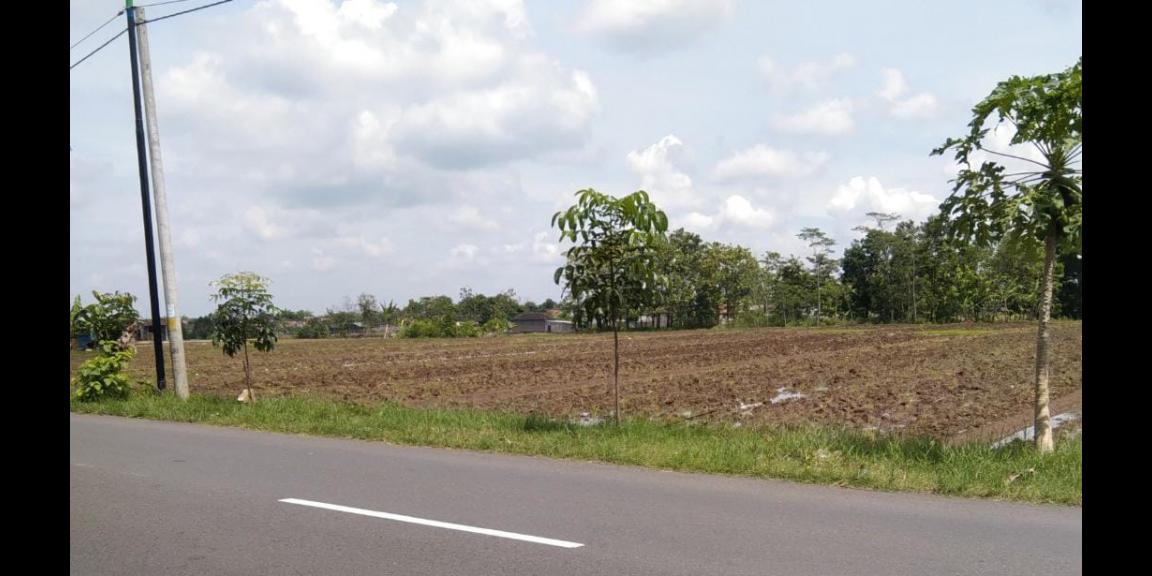 Tanah Datar Siap Bangun 3200m² Karanganyar Kota Tanah Datar Siap Bangun 3200m² Karanganyar Kota