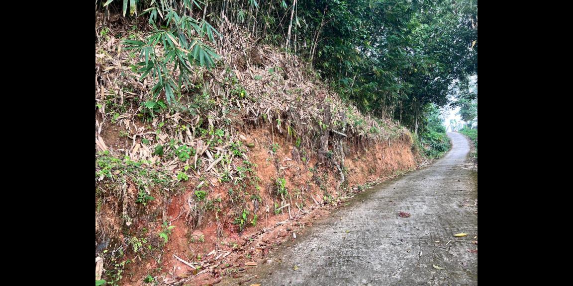 Tanah View Hamparan Sawah 1710m² Karangpandan Tanah View Hamparan Sawah 1710m² Karangpandan