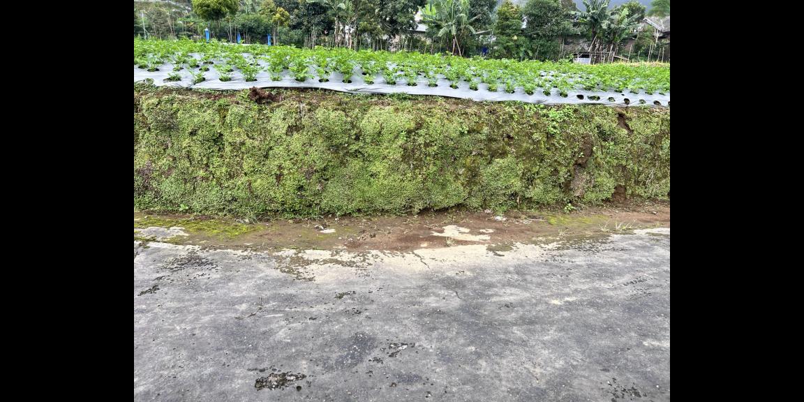 Tanah 400m² View Hutan Pinus Kemuning Karanganyar Tanah 400m² View Hutan Pinus Kemuning Karanganyar