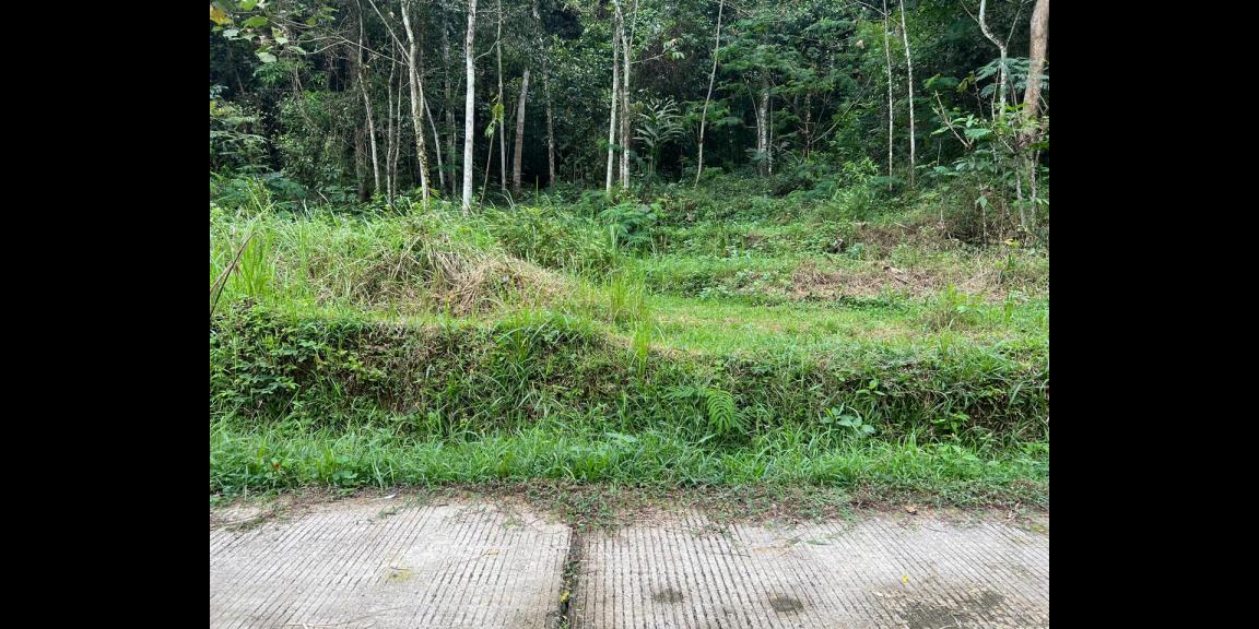 Pekarangan Datar 3820m² Siap Bangun Karangpandan Pekarangan Datar 3820m² Siap Bangun Karangpandan