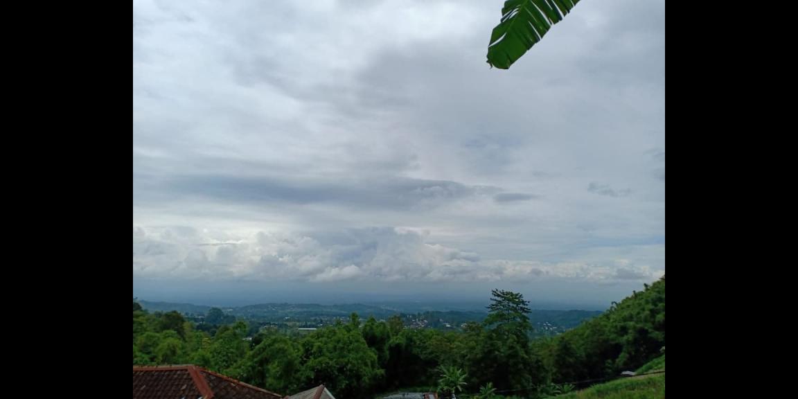 Tanah Tepi Jl. Raya View Kebun Teh Kemuning Ngargoyoso Karanganyar Tanah Tepi Jl. Raya View Kebun Teh Kemuning Ngargoyoso Karanganyar