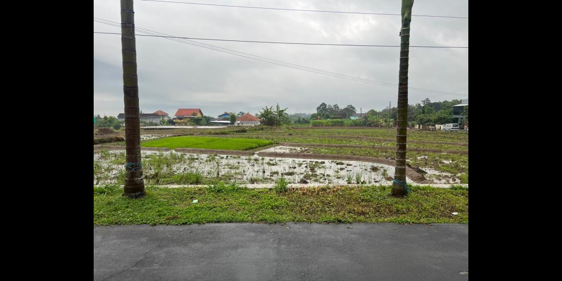 Rumah Siap Huni 180m² Karangpandan Karanganyar Rumah Siap Huni 180m² Karangpandan Karanganyar