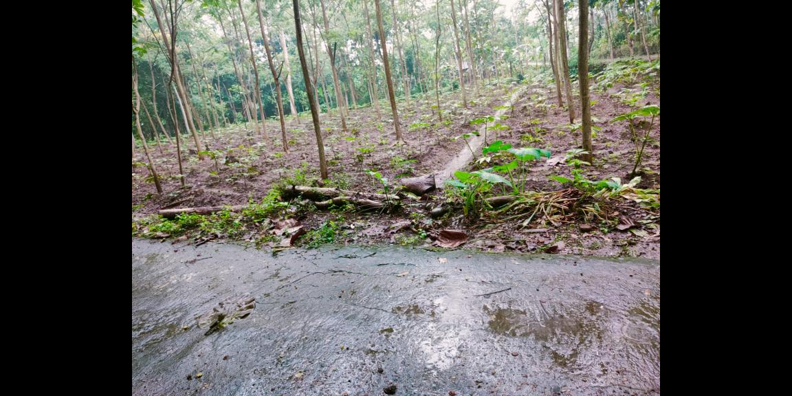 Tanah Datar Cocok di Kavling /dibangun Rumah Mojogedang Karanganyar Tanah Datar Cocok di Kavling /dibangun Rumah Mojogedang Karanganyar